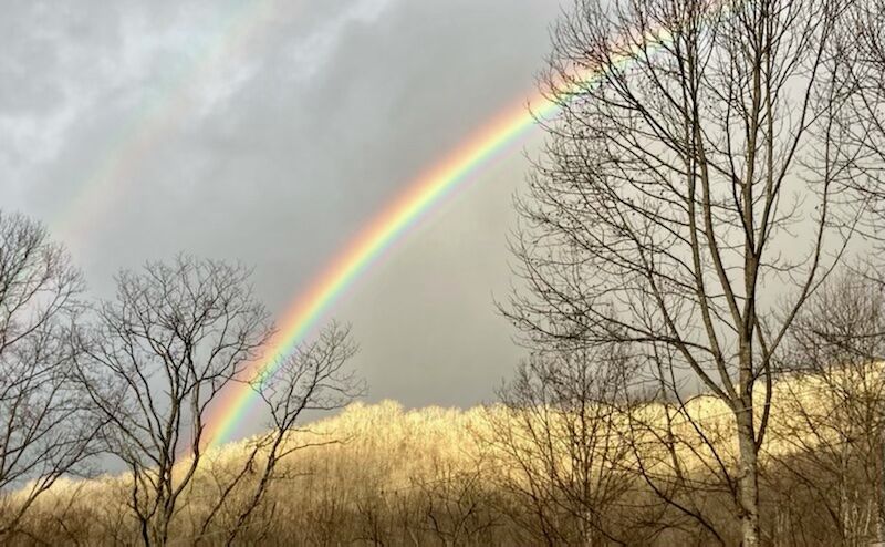 Rainbow